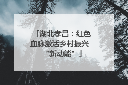 湖北孝昌：红色血脉激活乡村振兴“新动能”