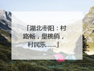 湖北枣阳：村路畅，皇桃俏，村民乐……