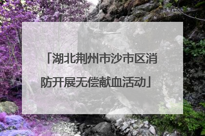 湖北荆州市沙市区消防开展无偿献血活动