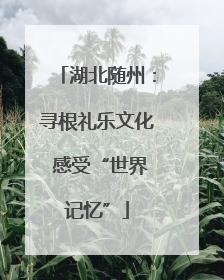 湖北随州：寻根礼乐文化 感受“世界记忆”