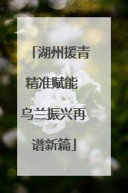 湖州援青精准赋能 乌兰振兴再谱新篇
