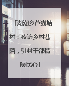 湖潮乡芦猫塘村：夜访乡村巷陌，驻村干部情暖民心
