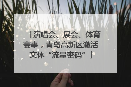 演唱会、展会、体育赛事，青岛高新区激活文体“流量密码”