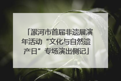 漯河市首届非遗展演年活动“文化与自然遗产日”专场演出侧记