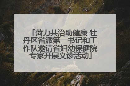 菏力共治助健康 牡丹区省派第一书记和工作队邀请省妇幼保健院专家开展义诊活动