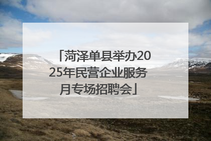 菏泽单县举办2025年民营企业服务月专场招聘会
