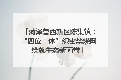 菏泽鲁西新区陈集镇：“四位一体”织密禁烧网 绘就生态新画卷