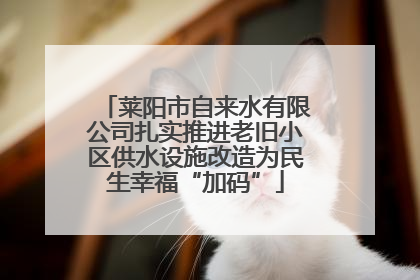 莱阳市自来水有限公司扎实推进老旧小区供水设施改造为民生幸福“加码”