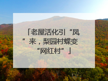 老屋活化引“凤”来，梨园村蝶变“网红村”