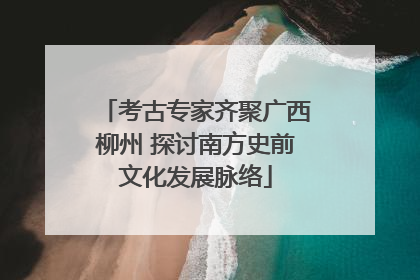 考古专家齐聚广西柳州 探讨南方史前文化发展脉络