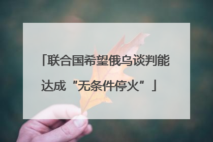 联合国希望俄乌谈判能达成“无条件停火”