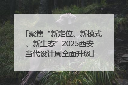聚焦“新定位、新模式、新生态”2025西安当代设计周全面升级