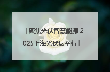 聚焦光伏智慧能源 2025上海光伏展举行