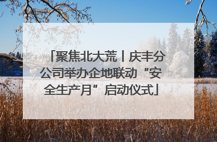 聚焦北大荒丨庆丰分公司举办企地联动“安全生产月”启动仪式