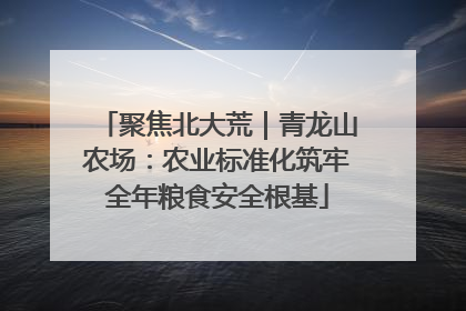 聚焦北大荒｜青龙山农场：农业标准化筑牢全年粮食安全根基