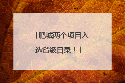 肥城两个项目入选省级目录！