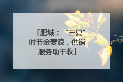 肥城：“三夏”时节金麦浪，供销服务助丰收