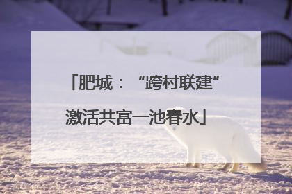 肥城：“跨村联建”激活共富一池春水