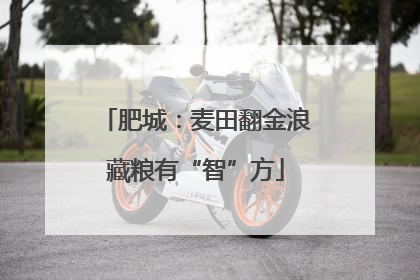肥城：麦田翻金浪藏粮有“智”方