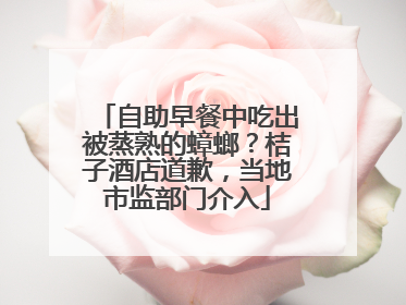 自助早餐中吃出被蒸熟的蟑螂？桔子酒店道歉，当地市监部门介入