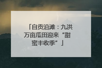 自贡沿滩：九洪万亩瓜田迎来“甜蜜丰收季”