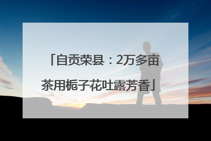 自贡荣县：2万多亩茶用栀子花吐露芳香