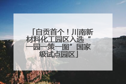 自贡首个！川南新材料化工园区入选“一园一策一图”国家级试点园区