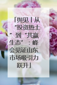 舆见丨从“投资热土”到“共赢生态”：峰会见证山东市场吸引力跃升