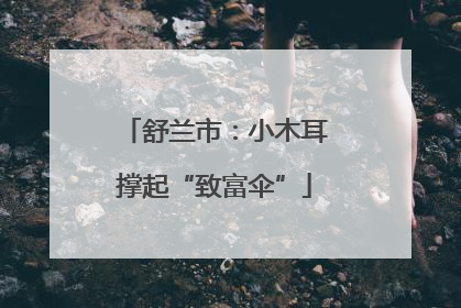 舒兰市：小木耳撑起“致富伞”