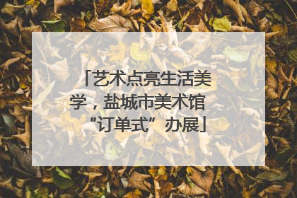 艺术点亮生活美学，盐城市美术馆“订单式”办展