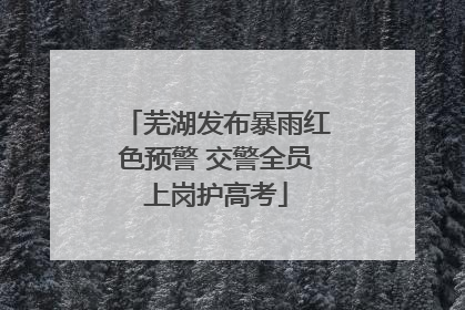 芜湖发布暴雨红色预警 交警全员上岗护高考