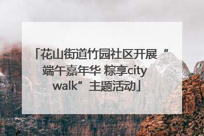 花山街道竹园社区开展“端午嘉年华 粽享city walk”主题活动