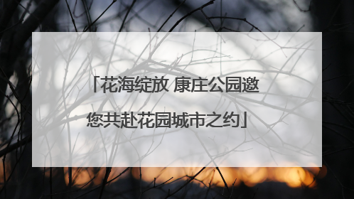 花海绽放 康庄公园邀您共赴花园城市之约