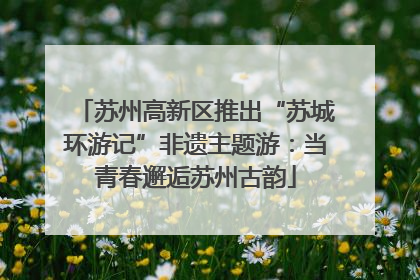 苏州高新区推出“苏城环游记”非遗主题游：当青春邂逅苏州古韵