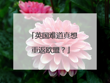 英国难道真想重返欧盟？