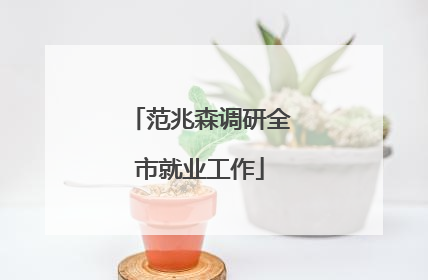 范兆森调研全市就业工作