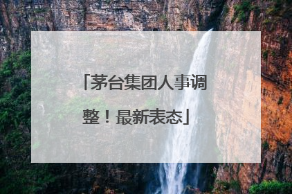 茅台集团人事调整！最新表态