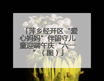 萍乡经开区“爱心妈妈”伴留守儿童迎端午庆“六一”（图）