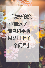 说好的换俘推迟了 俄乌和平前景又打上了一个问号