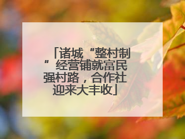 诸城“整村制”经营铺就富民强村路，合作社迎来大丰收