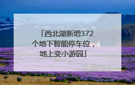 西北湖新增372个地下智能停车位，地上变小游园