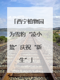 西宁植物园为雪豹“凌小蛰”庆祝“新生”