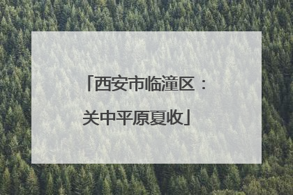 西安市临潼区：关中平原夏收