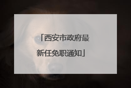 西安市政府最新任免职通知