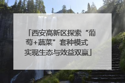 西安高新区探索“葡萄+蔬菜”套种模式 实现生态与效益双赢