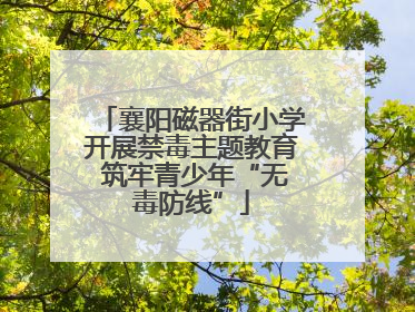 襄阳磁器街小学开展禁毒主题教育 筑牢青少年“无毒防线”