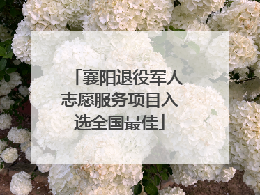 襄阳退役军人志愿服务项目入选全国最佳