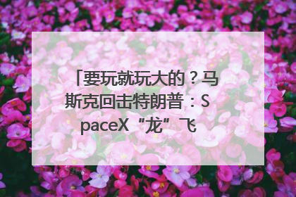 要玩就玩大的？马斯克回击特朗普：SpaceX“龙”飞船将立即退役！