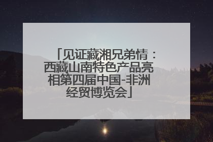 见证藏湘兄弟情：西藏山南特色产品亮相第四届中国-非洲经贸博览会