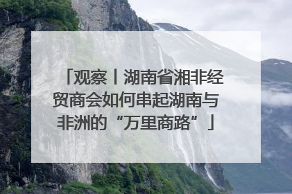 观察丨湖南省湘非经贸商会如何串起湖南与非洲的“万里商路”